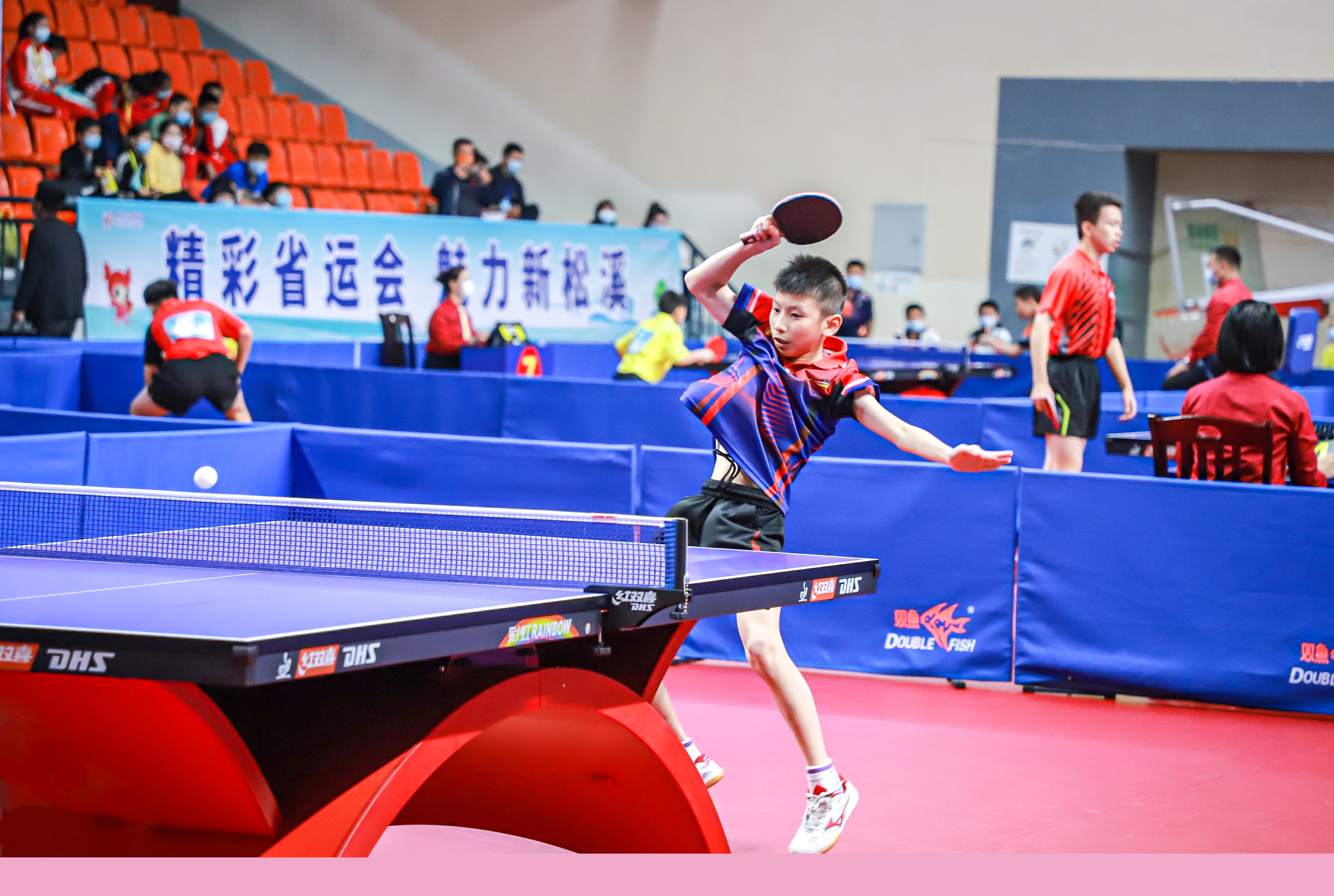 展现了新一 展现了新一